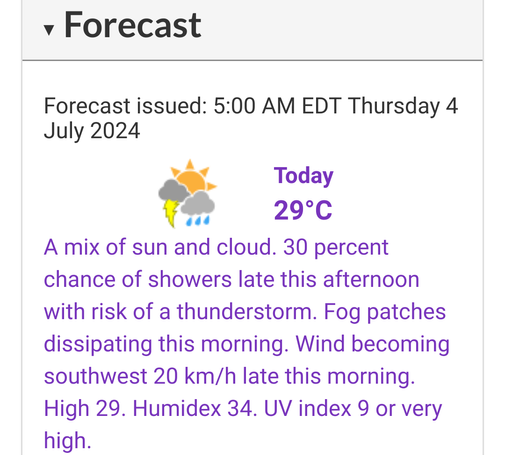 A government weather office forecast predicts:  

a mix of sun and cloud. 30 percent chance of showers late this afternoon with risk of a thunderstorm. Fog patches dissipating this morning. Wind becoming southwest 20 km/h late this morning. High 29. Humidex 34. UV index 9 or very high.