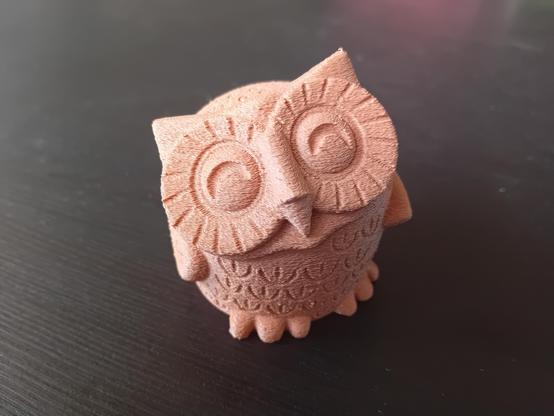 Molly the owl.
