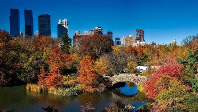 Central Park New York City