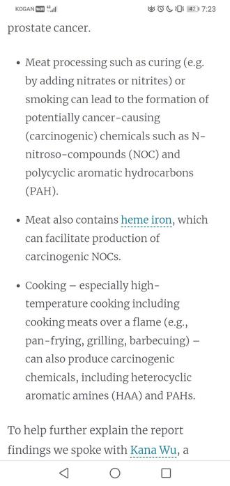 Colour; portrait orientation: Screenshot showing that heme iron "can facilitate production of carcinogenic NCOs". Source: Harvard School of Public Health.