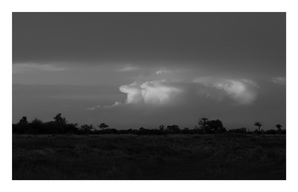 This is a black and white landscape photo of a dramatic cloud formation over the beautiful Okavango Delta, Botswana 