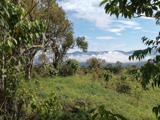 Low clouds.
#awesome_nature #awesome_naturepics #Blackside #bluesky #Cloud #Grass #Green #Growth #low_clouds #Nature #Outdoors #podium #ScenicsNature #Sky #snapshot_day #snap_allnature #snap_alltrees #snap_artgallery #snap_blue #snap_colours #snap_landscape #snap_mobile #snap_mountains #ThARTsday #Tranquility #Tree #Vegetation