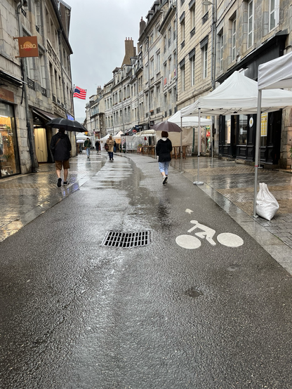 Picture of a semi pedestrian street on a rainy day. It’s a one-way street for cars (with limited access) with wide sidewalks on both sides (flush with road and of a different material). Water drains in the middle of the car lane. There’s a pictogram of a bicycle showing that people can ride against traffic.