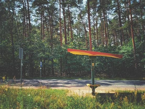 Stary przystanek autobusowy stojący przy asfaltowej drodze wiodącej przez las.