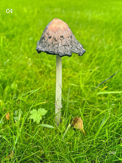 Mushroom 