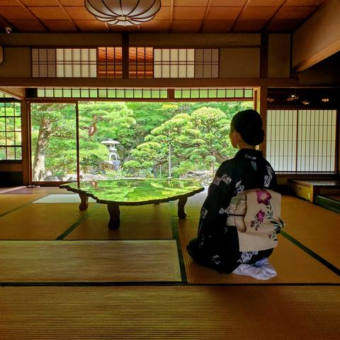 Nao-san enjoys the bright green reflections from the garden on the surface of a polished table at Omuro-tei.