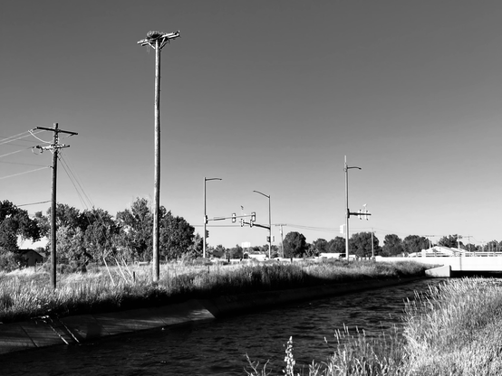 Larimer and Weld Canal passing by Osprey nest near Shields and Willox. 