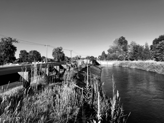 Larimer and Weld Canal passing under Willox. 