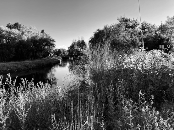 Larimer and Weld Canal passing under College Avenue. 