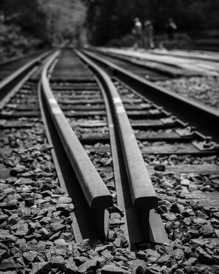 Black and white photo of tree-lined train tracks taken at a low angle so that the end of the rails near the camera are in focus and the track converging towards the horizon becomes more and more out of focus. There are three out of focus people crossing the tracks visible in the upper right.