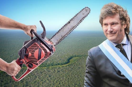 Collage compuesto por una imagen del bosque de Chaco, al fondo, sobre la que se ven a la izquierda dos manos sosteniendo una motosierra y a la derecha el presidente argentino Javier Milei con la banda presidencial con la bandera argentina y una expresión de satisfacción en el rostro.