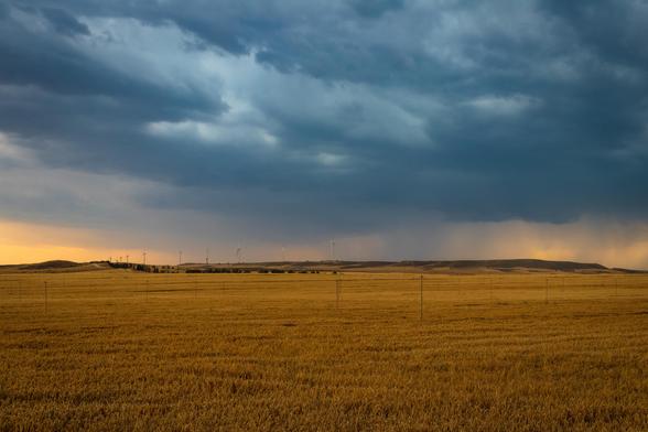 Fotografía donde se ve un campo de trigo amarillo con nubes de tormenta al fondo al atardecer.

Photography of a wheatfields with storm clouds at background at Sunset.