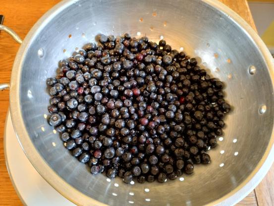 A colander containing washed blaeberries.