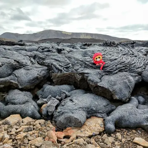 A fresh lava field on Iceland with Simbalito as scale