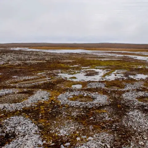 Rocks forming circles due to permafrost