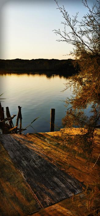 Ein alter Holzsteg an einem See in abendlicher Stimmung. 