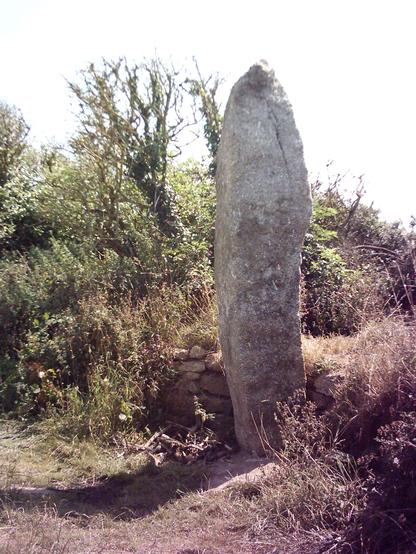 Colour photo of the 3.2m or 10.5 ft tall prehistoric standing stone on Gûn Rith in West Penwith, Cornwall. The stone fell and was re-erected in 2003 and stands against a relatively low stone hedge. The Merry Maidens stone circle is in a field on the other side of the road, but cannot be seen in this photo.
