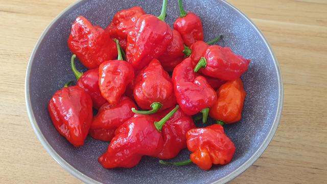 Red chillies in a grey bowl