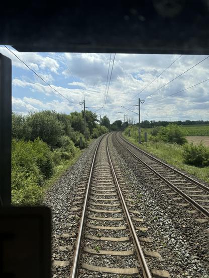 Tracks from the rear window.