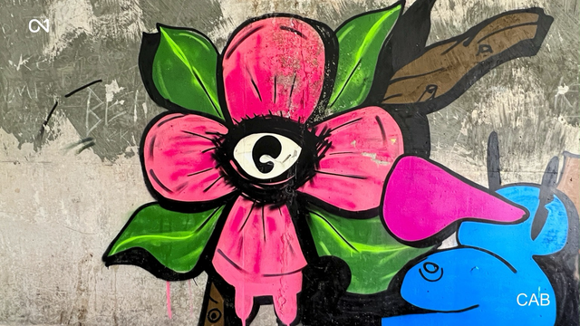 Graffiti of Carlisle 
