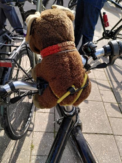 Plüsch-Elch Gunvald wieder auf seinem Lieblingsplatz, dem Fahrradlenker. Diesmal von hinten aufgenommen. 