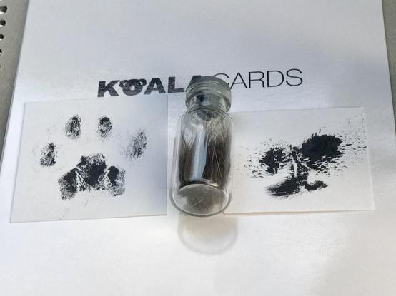 Photo of three items on the back of a sympathy card.

On the left is a photo of Mr Kitty’s paw print. 

In the middle, a small glass vial with a red heart sticker on the outside. The glass bottle contains clippings of his tuxedo fur.

Finally on the right is a photo of Mr Kitty’s nose print.
