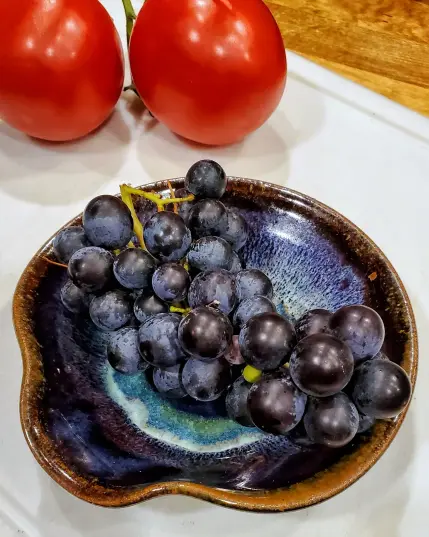 Harvested dark purple concord grapes sitting in a small brown stoneware plate. Two red tomatoes are placed in the background 
