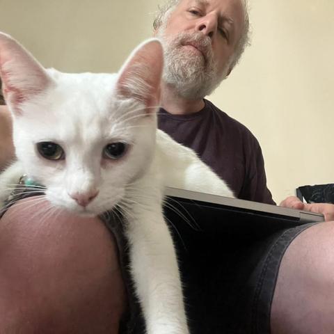 a white cat on a closed laptop on a lap, leans her head forward and dangles one paw forward, as seen from below; the human's bearded face is in the background