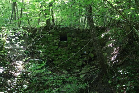 The image shows a lush green forest with sunlight filtering through the leaves. In the midst of the forest, there's an old stone structure that is partially overgrown by the surrounding vegetation.