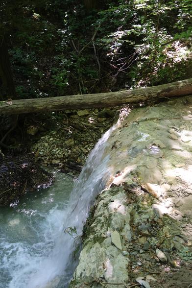 The image shows a small waterfall cascading over a rocky ledge into a stream below, surrounded by lush greenery and fallen logs
