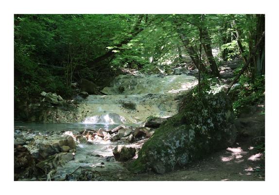 The image shows a serene forest scene with a cascading stream flowing over rocky terrain, surrounded by lush green trees and foliage