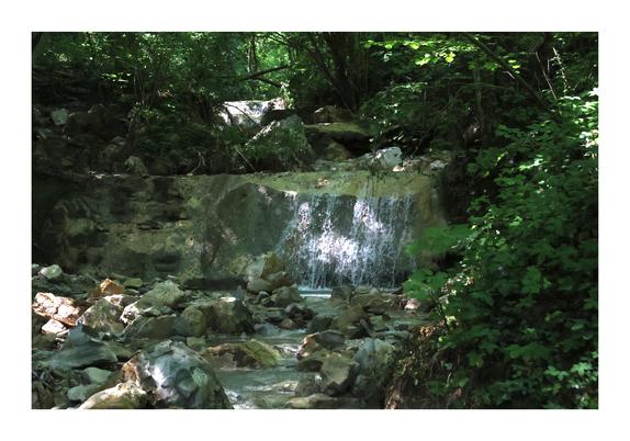 A serene scene of a small waterfall cascading over rocks, surrounded by lush greenery in a forest.