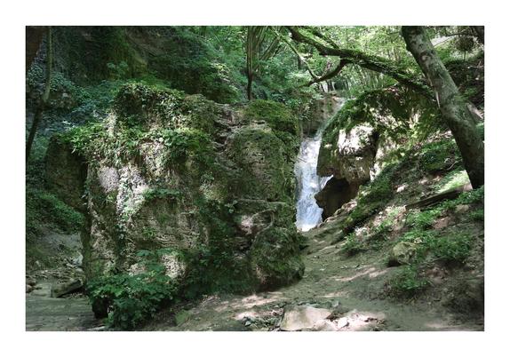 The image shows a small waterfall cascading down a rocky cliff, surrounded by lush greenery in a forest setting.