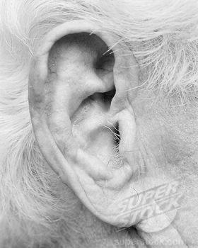 Foto eines Männer Ohres mit Haaren