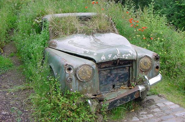 A vintage 1950s era car now full of soil with red poppys and wilflowers growing around and within it. Green paint survives in patches with the grey bare metal showing in large clumps. Rust is evident