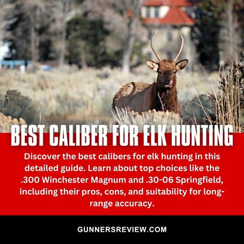 Best Caliber for Elk Hunting