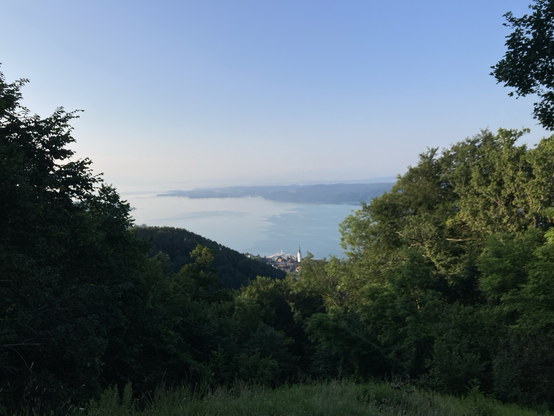 Blick auf Sipplingen und den Bodensee vom Haldenhof