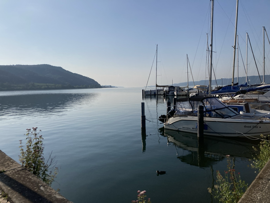 Uferpromenade in Ludwigshafen mit Segelbooten 