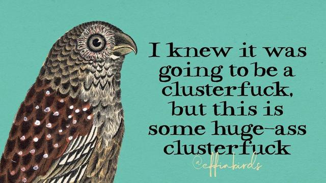 A painting of a bird next to the words "I knew it was going to be a clusterfuck, but this is some huge-ass clusterfuck"