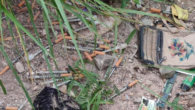 Fotografía en primer plano del suelo donde se observan  muchas jeringas para aplicación de insulina tiradas en terrenos de la Reserva de Biosfera de Tehuacán - Cuicatlán