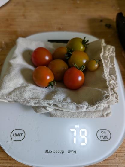 Small tomatoes on a scale showing 79 ml (=79 g)