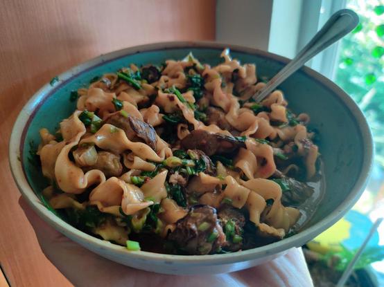 A delicious bowl of noodles. Writhing pasta curl deliciously around bits of spinache and fat little oysters in an inviting nest of wonder.