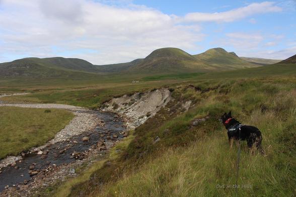 A river with stony bed running through a sloping valley. Hills at the back, a ruined house in the middle distance. Moray the dog stood looking into the view. Blue sky with clouds.