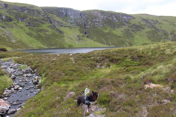 Part of a lochan in a corrie with grassy and craggy sides, we are stood by the outflow stream, heathery vegetation in the foreground. Moray the dog looking at the view.