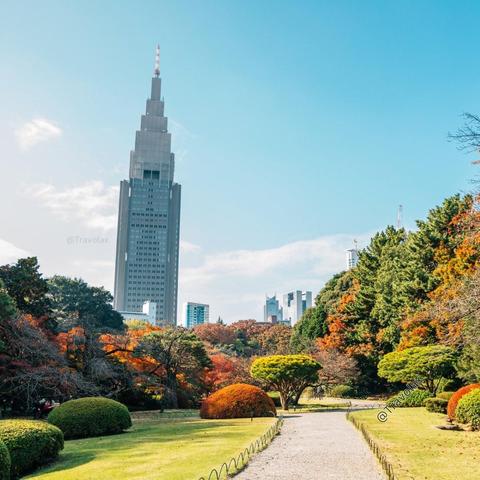 Yoyogi Park in Tokyo, Japan