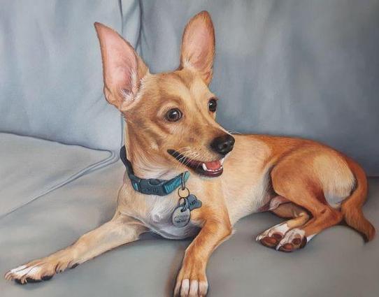 a painting of a smaller-sized pointy-eared tan dog, laying on a couch, wearing a blue collar, looking to the right 