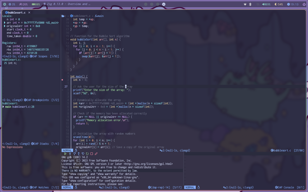 Nevica C debugger