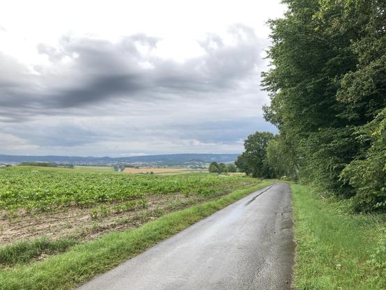 Geteerter Feldweg mit tief hängenden Regenwolken und im Hintergrund ist der Haßbergtrauf und Königsberg zu sehen.