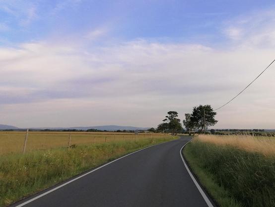 Strasse, die sich durch gelb-grüne Felder im warmen Abendlicht windet. Am Horizont steht eine Gruppe Bäume.