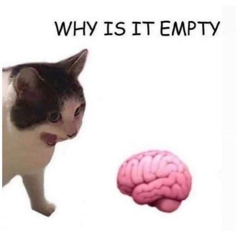 cat yelling at brain "why is it empty"

